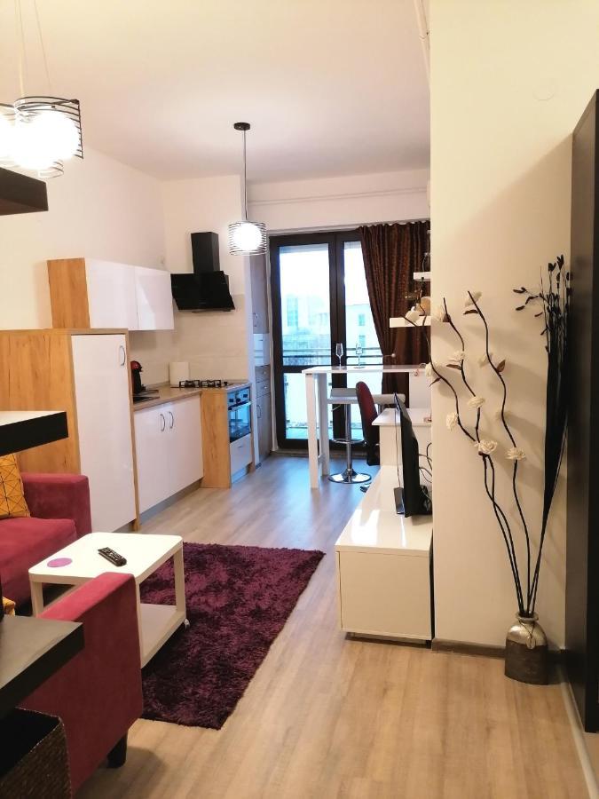 Studio 28 - 1 Camera Lazar Residence Ultracentral Yaş Dış mekan fotoğraf